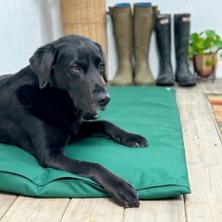 Dog Bed Cage Crate Car  Mat  Waterproof Tough Pad removable zip-fastened cover  Navy or Green UK MADE